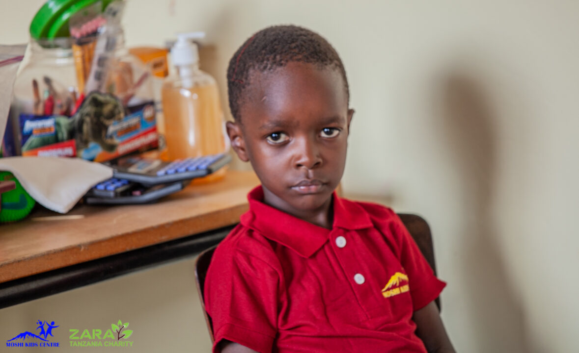 Volunteering in Tanzania: A Guide to Meaningful Impact with Moshi Kids