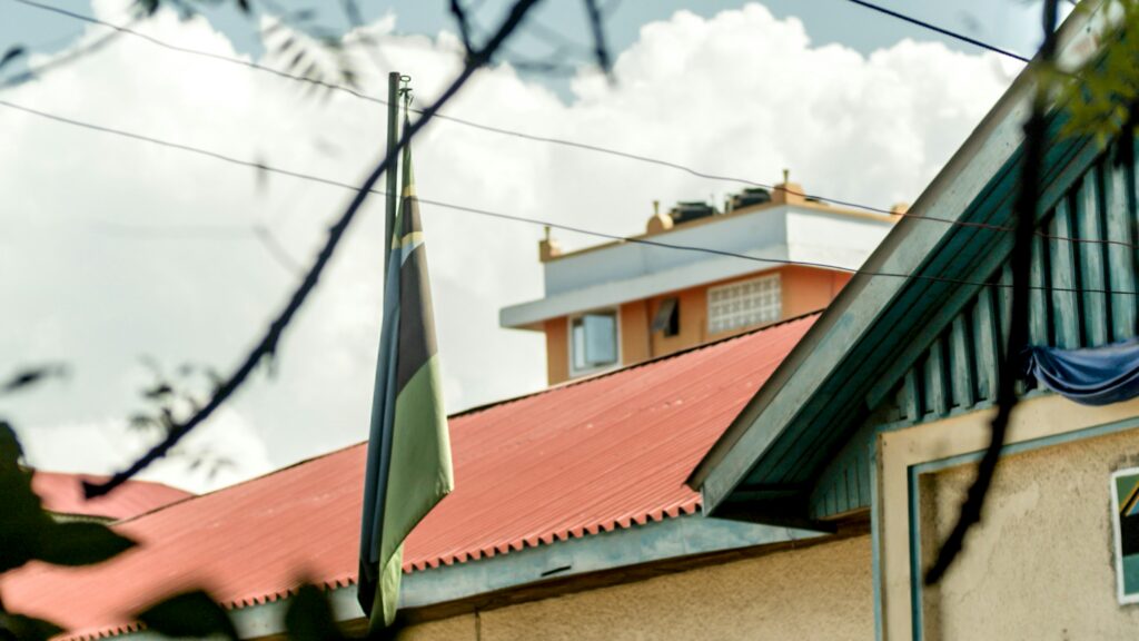 Volunteering in Tanzania A Guide to Meaningful Impact with Moshi Kids